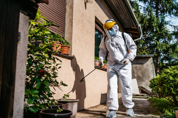Best Cockroach Control Services  in Icard, NC