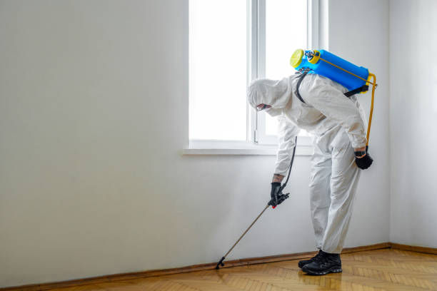 Best Wasp Removal Services  in Icard, NC