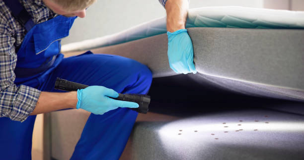 Best Cockroach Control Services  in Icard, NC