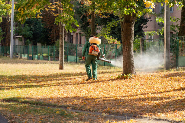 Best Commercial Pest Control Services  in Icard, NC
