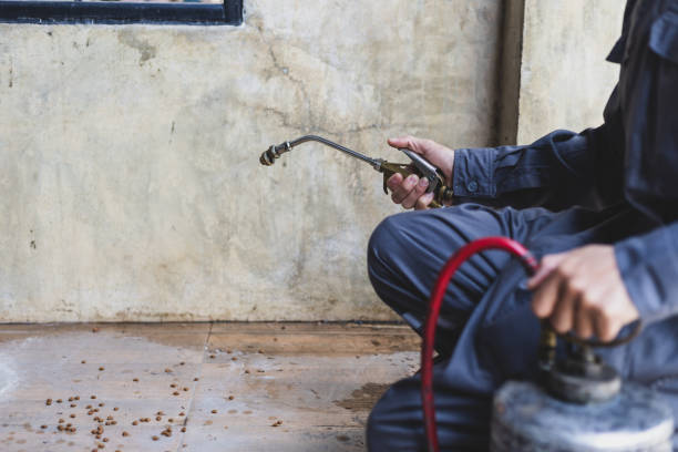 Best Pest Removal Services  in Icard, NC